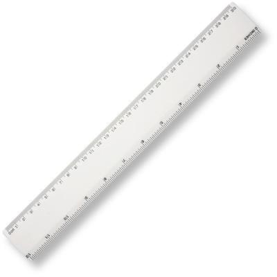 Bg Ruler 30Cm 12In...